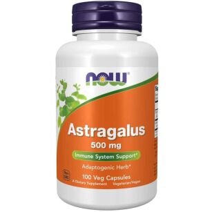 Now Foods Astragalus 500mg | 100 vcaps
