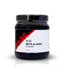 MR.BIG Beta Alanin powder | 300 g