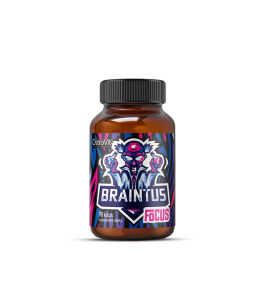 OstroVit Braintus Focus | 90 caps